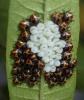 Halyomorpha halys